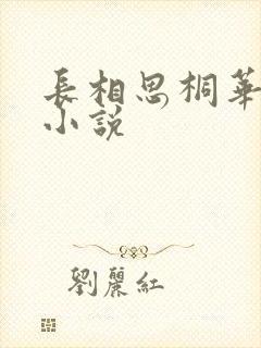 长相思桐华原著小说