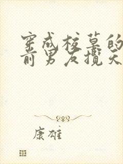 穿成校草的炮灰前男友揽天星
