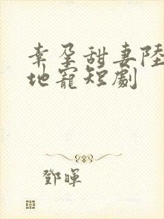 幸孕甜妻陆总跪地宠短剧