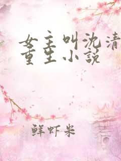 女主叫沈清宁的重生小说