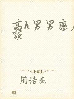 高h男男恋老小说