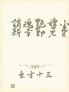 销魂艳婢小说最新章节免费阅读