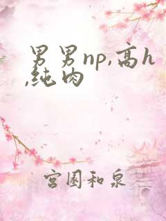 男男np,高h,纯肉