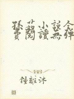 孙茹小说全文免费阅读无弹窗