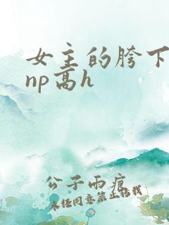 女主的胯下男奴np高h