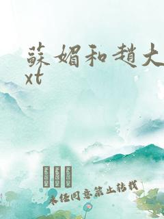 苏媚和赵大宝txt