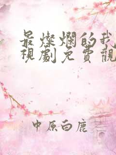 最灿烂的我们电视剧免费观看全集