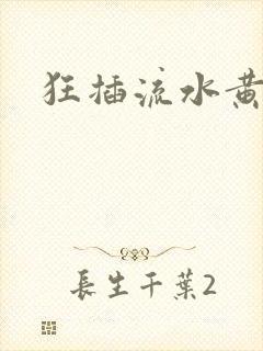 狂插流水黄小说