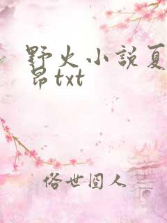 野火小说夏布多昂txt