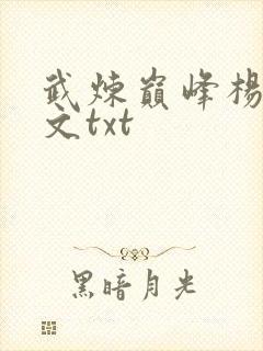 武炼巅峰杨开全文txt