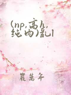 (np,高h,纯肉)乱l