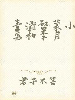 青涩启蒙小说张勇和李月