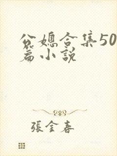 公媳合集500篇小说