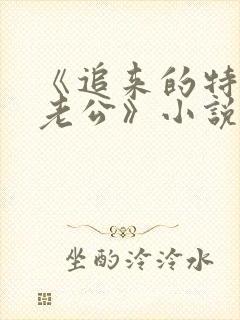 《追来的特种兵老公》小说