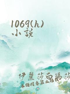 1069(h)小说