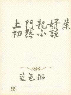 上门龙婿叶晨萧初然小说