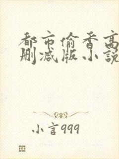 都市偷香高手无删减版小说