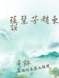 张慧芳赵东的小说