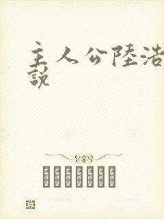 主人公陆浩的小说