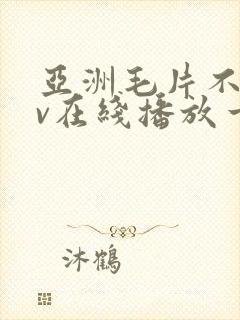 亚洲毛片不卡av在线播放一区二区