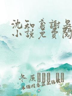 沈知鸢谢晏时的小说免费阅读