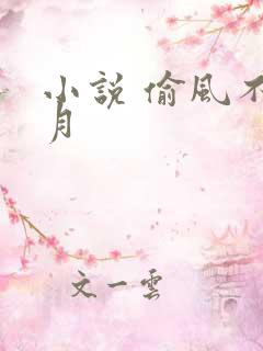 小说 偷风不偷月