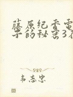 藤原纪香电影妻子的秘密3在线观看