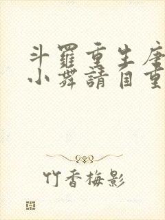 斗罗重生唐舞麟小舞请自重