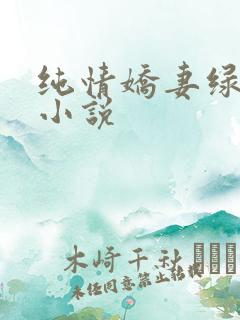 纯情娇妻绿帽公小说