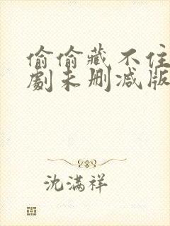 偷偷藏不住广播剧未删减版