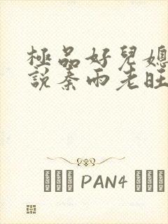 极品好儿媳妇小说秦雨老旺免费阅读