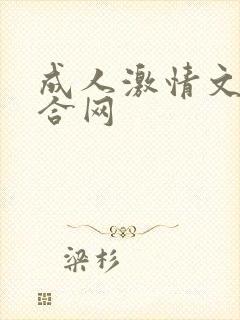 成人激情文学综合网