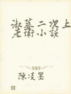 淑蓉二次上船找老卫小说