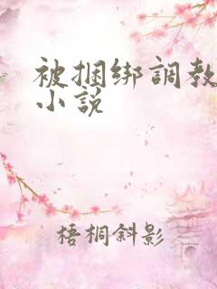 被捆绑调教高潮小说