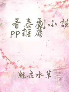 看泰剧小说的app推荐