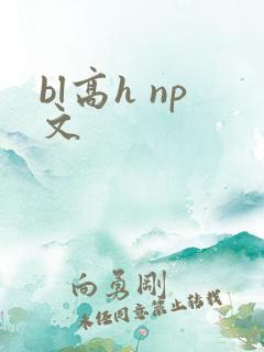 bl高h np文