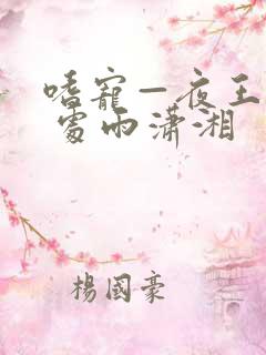 嗜宠—夜王狂妃 处雨潇湘