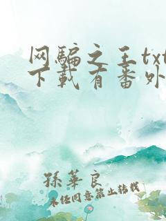 网骗之王txt下载有番外