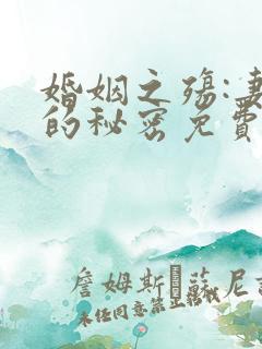 婚姻之殇:妻子的秘密免费阅读