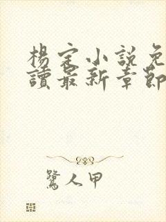 杨定小说免费阅读最新章节更新时间