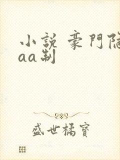 小说 豪门隐婚aa制
