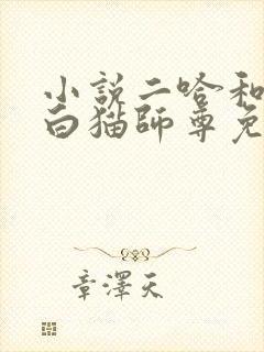 小说二哈和他的白猫师尊免费完本