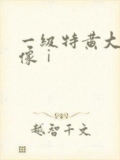 一级特黄大片录像ⅰ