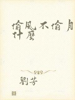 偷风不偷月讲了什么
