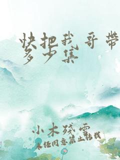 快把我哥带走共多少集