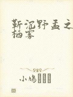 靳沉野孟之瑶唐栖雾