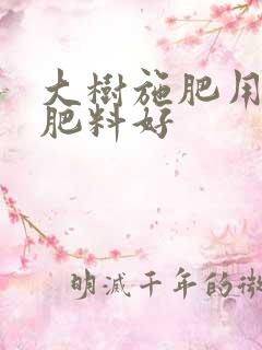大树施肥用什么肥料好