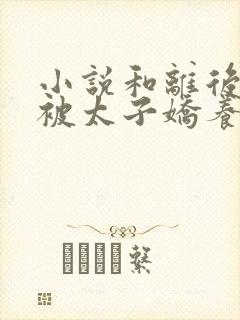 小说和离后,我被太子娇养了