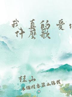 我 真的 爱你 什么歌
