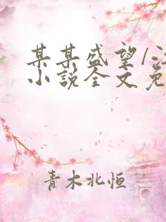 某某盛望/江添小说全文免费阅读